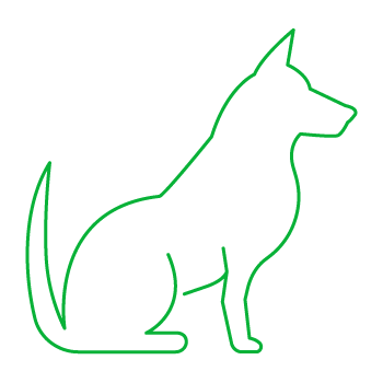 Corsi di addestramento base del cane