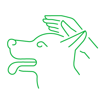 Corsi di addestramento cane