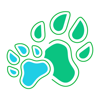 Corso di socializzazione cane